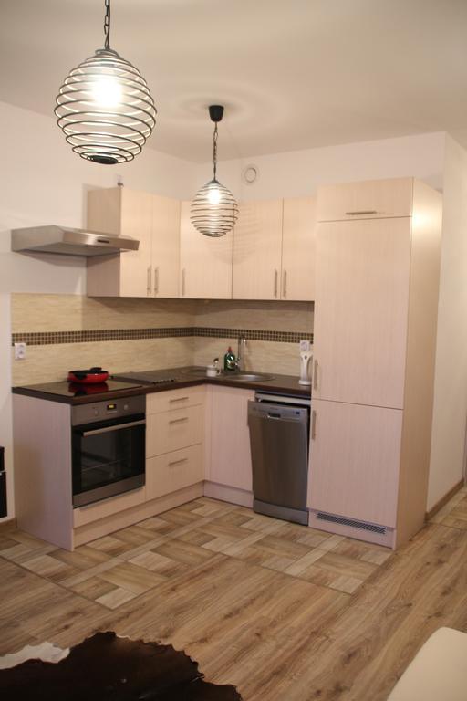 Apartment Wielicka Cracow 克拉科夫 外观 照片