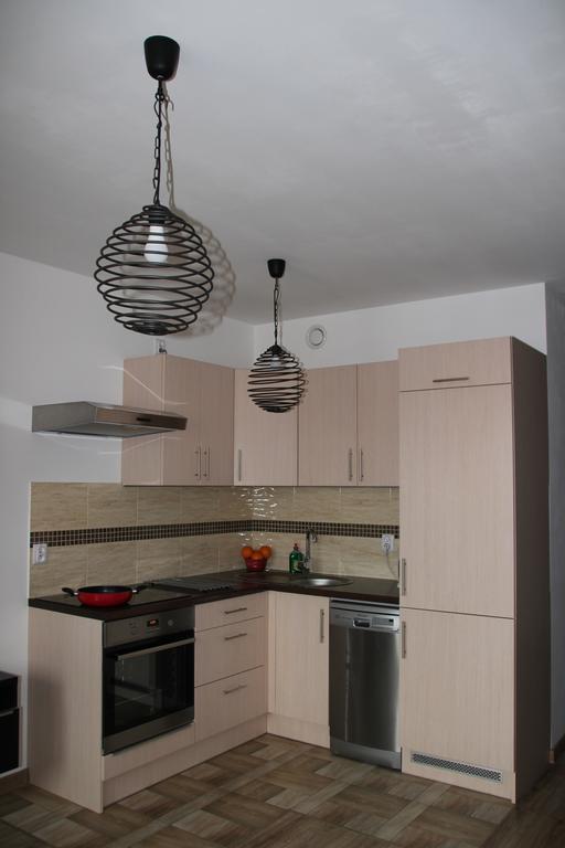 Apartment Wielicka Cracow 克拉科夫 外观 照片