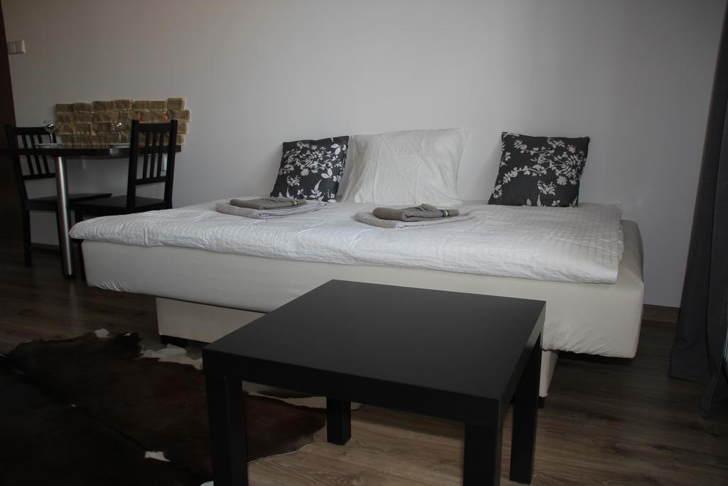 Apartment Wielicka Cracow 克拉科夫 外观 照片